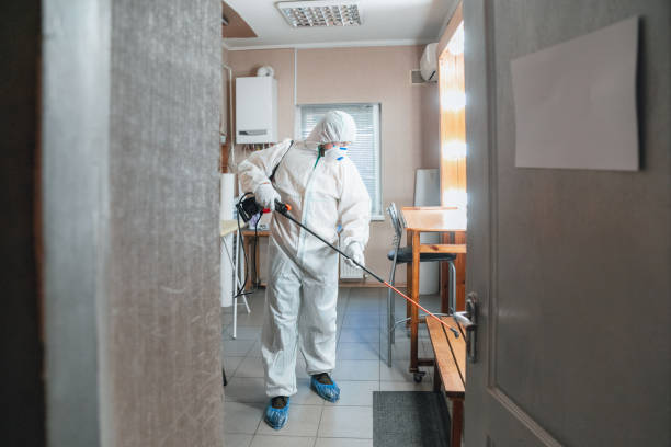  Gladstone, MO Mold Removal Pros