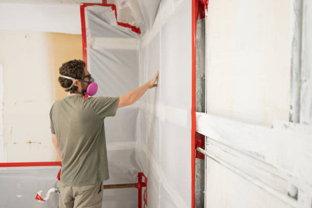 Best Commercial Mold Inspection  in Gladstone, MO