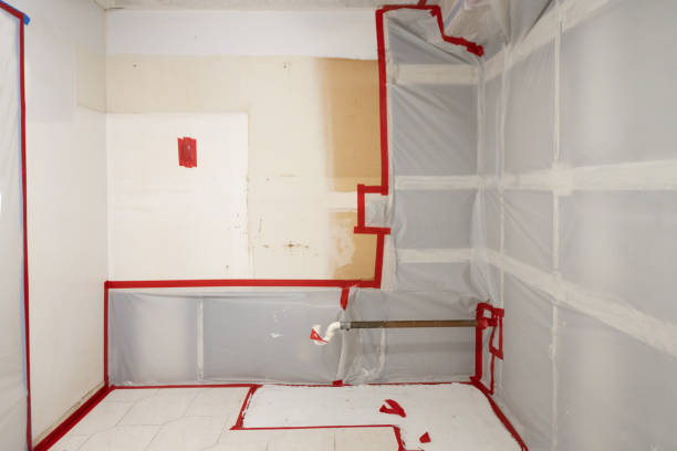 Best Emergency Mold Remediation  in Gladstone, MO