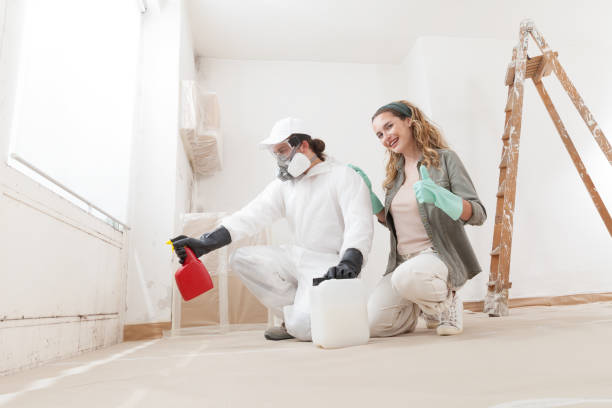 Best Mold Prevention Services  in Gladstone, MO